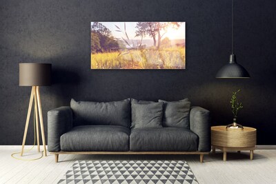 Druck auf Glas Wiese Gras Baum Natur