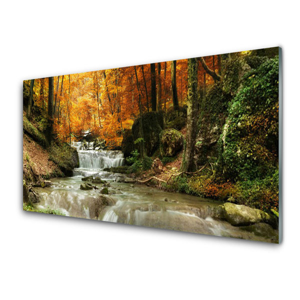 Druck auf Glas Wasserfall Wald Natur