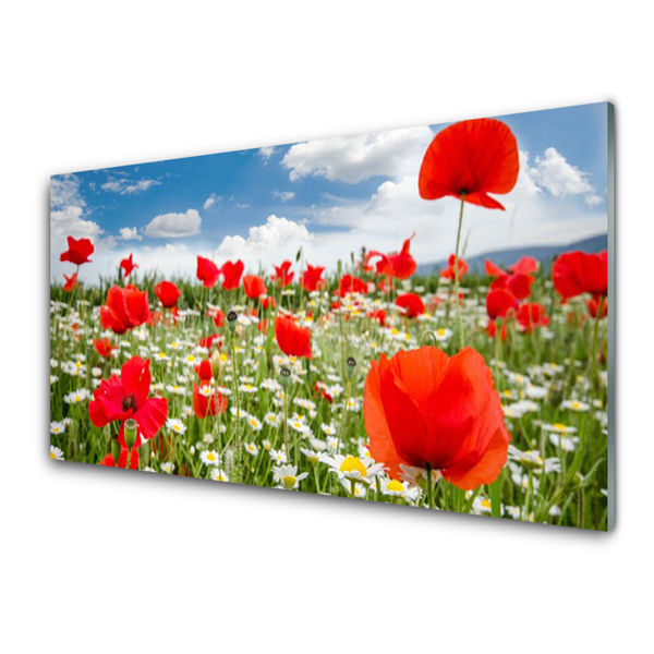 Druck auf Glas Wiese Blumen Natur