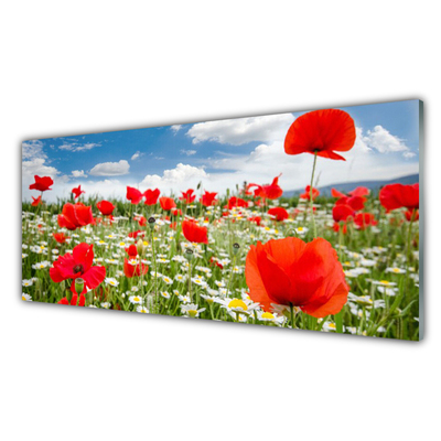 Druck auf Glas Wiese Blumen Natur