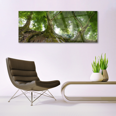 Druck auf Glas Bäume Natur