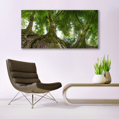 Druck auf Glas Bäume Natur
