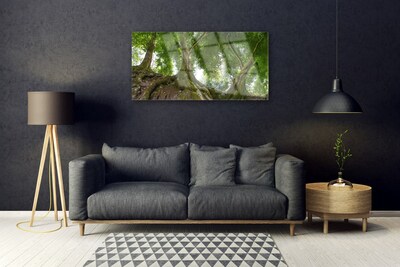 Druck auf Glas Bäume Natur