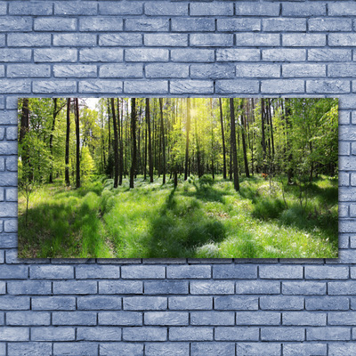 Druck auf Glas Wald Natur