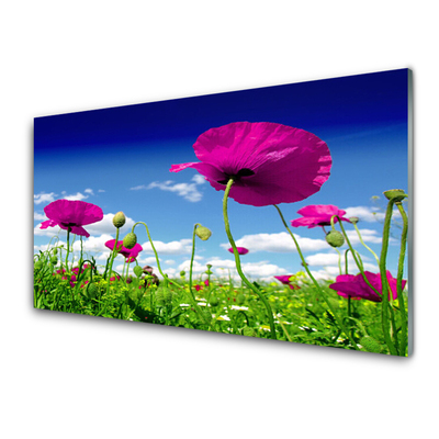 Druck auf Glas Wiese Blumen Natur