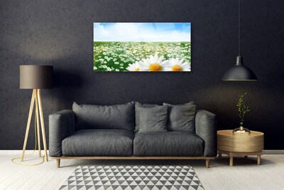 Druck auf Glas Wiese Gänseblümchen Pflanzen