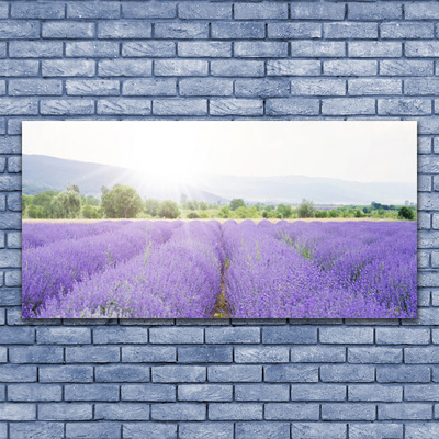 Druck auf Glas Wiese Blumen Natur