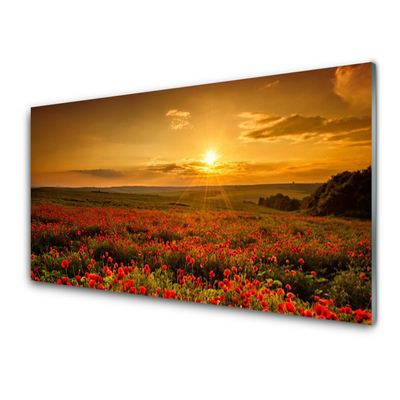 Glasbilder 100x50 Wandbild Druck auf Glas Gebirge Wiese Blumen Landschaft