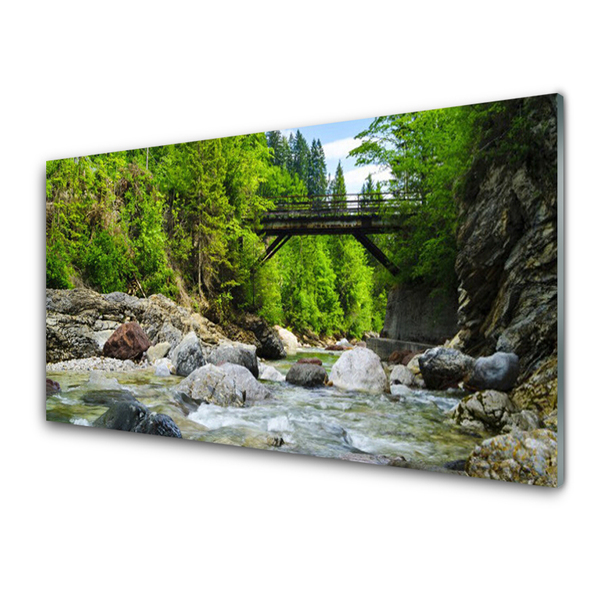 Druck auf Glas Wald Brücke See Steine Landschaft