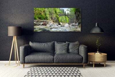 Druck auf Glas Wald Brücke See Steine Landschaft