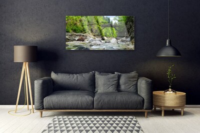 Druck auf Glas Wald Brücke See Steine Landschaft