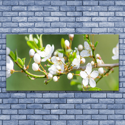 Druck auf Glas Zweige Blumen Pflanzen