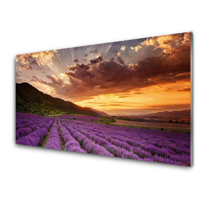 Druck auf Glas Gebirge Wiese Blumen Landschaft