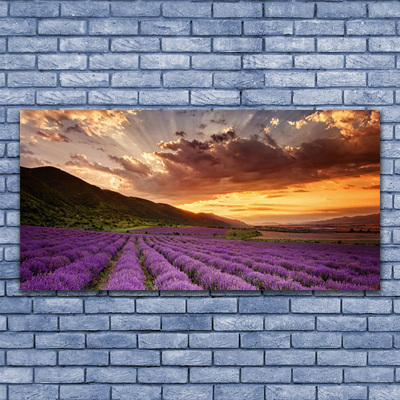 Druck auf Glas Gebirge Wiese Blumen Landschaft