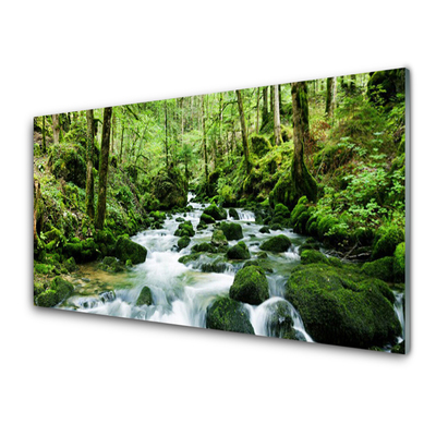 Druck auf Glas Wald See Steine Natur