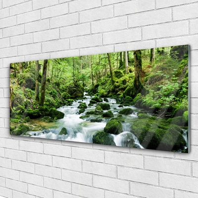 Druck auf Glas Wald See Steine Natur