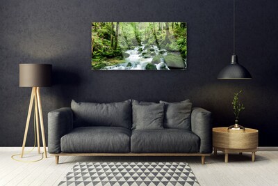 Druck auf Glas Wald See Steine Natur