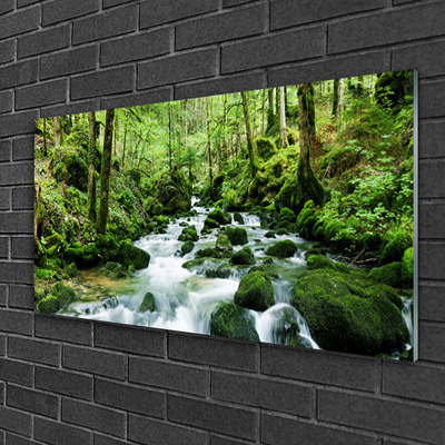 Druck auf Glas Wald See Steine Natur