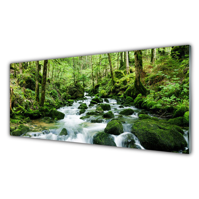 Druck auf Glas Wald See Steine Natur