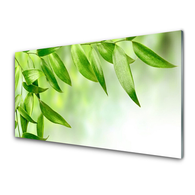 Druck auf Glas Blätter Pflanzen