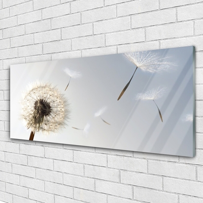 Glasbilder Wandbild Druck auf Glas 140x70 Pusteblume Pflanzen 