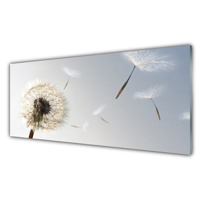 Glasbilder 100x50 Wandbild Druck auf Glas Pusteblume Pflanzen 