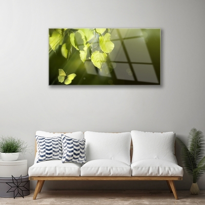 Druck auf Glas Schmetterling Blätter Natur