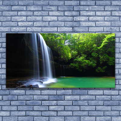 Druck auf Glas Wasserfall Wald Natur