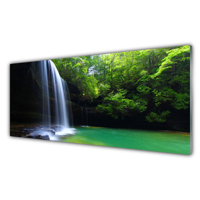 Druck auf Glas Wasserfall Wald Natur