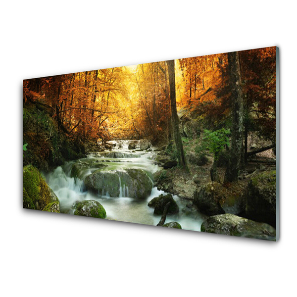 Tulup Leinwand-Bilder Wandbild Canvas Kunstdruck 120x60 Wald Natur 