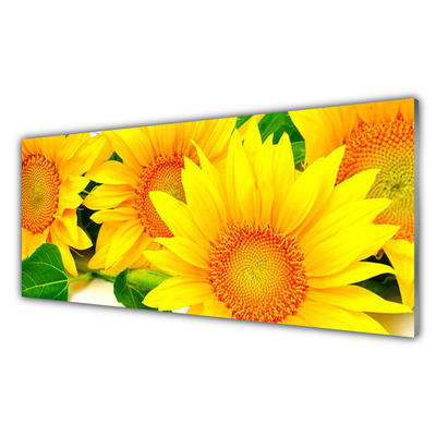 Druck auf Glas Sonnenblumen Pflanzen