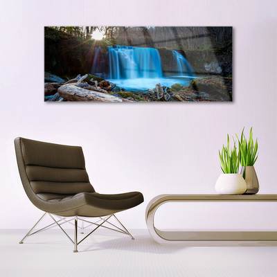 Druck auf Glas Sonne Wald Wasserfall Natur