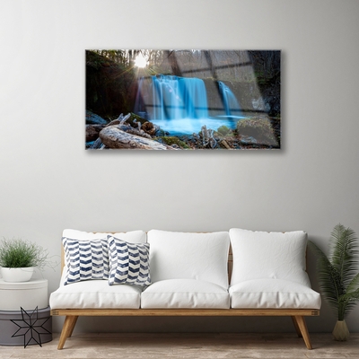 Druck auf Glas Sonne Wald Wasserfall Natur