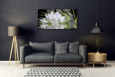 Wandbilder 100x50 Glasbild Druck auf Glas Blume Steine Wasser Pflanzen 