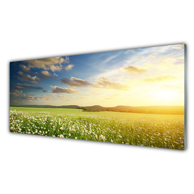 Druck auf Glas Wiese Blumen Landschaft