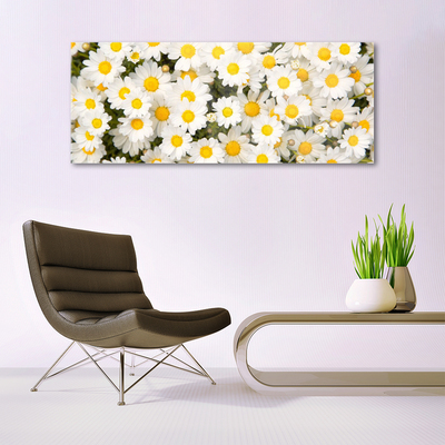 Druck auf Glas Gänseblümchen Pflanzen