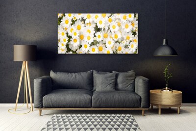 Druck auf Glas Gänseblümchen Pflanzen