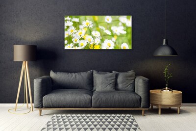 Druck auf Glas Gänseblümchen Pflanzen