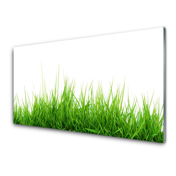 Druck auf Glas Gras Natur