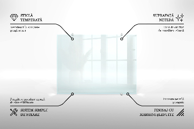 Glas Küchenpaneel transparentes