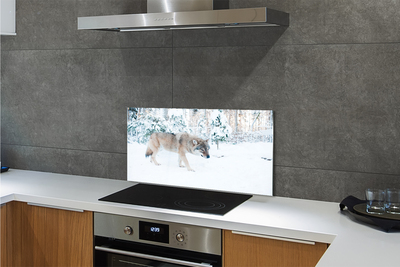 Küchenrückwand spritzschutz Loup winterwald