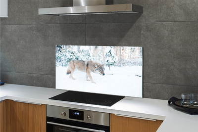 Küchenrückwand spritzschutz Loup winterwald