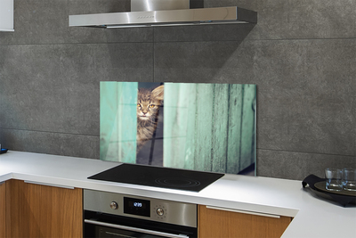 Küchenrückwand spritzschutz Katze zaglądający