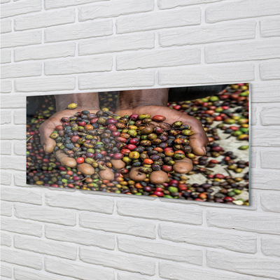 Küchenrückwand spritzschutz Gewürze