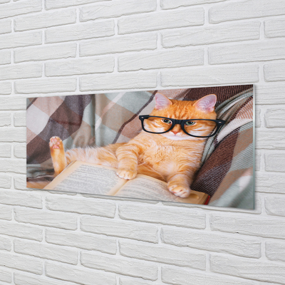 Küchenrückwand spritzschutz Der leser katze