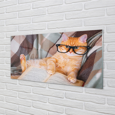 Küchenrückwand spritzschutz Der leser katze