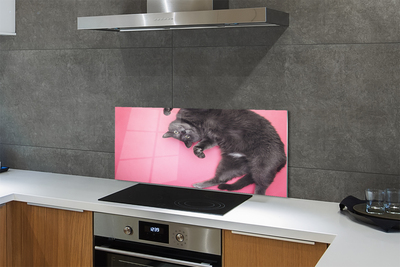 Küchenrückwand spritzschutz Katze liegend