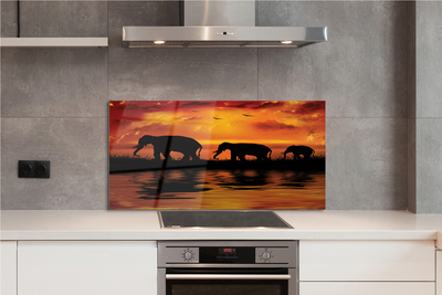Küchenrückwand spritzschutz West lake elefanten