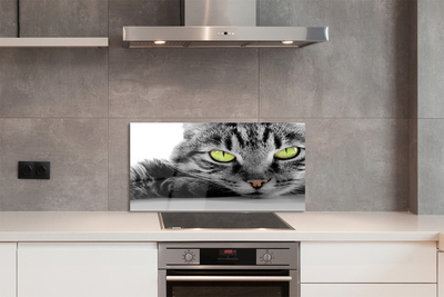 Küchenrückwand spritzschutz Grau-schwarze katze
