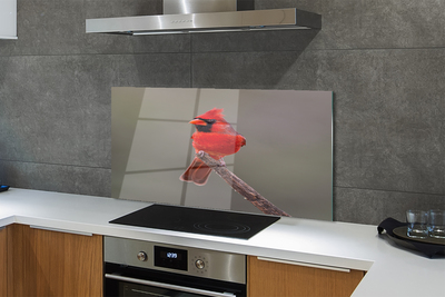Küchenrückwand spritzschutz Red papagei auf einem zweig
